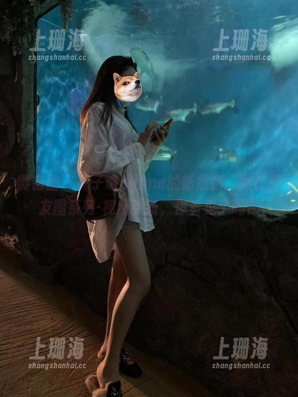 林子喵Lynne 微密圈 - 林子喵Lynne的新意图:微信朋友圈系列-视频更新,你看见了吗?
